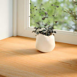 Vidaxl vensterbanken 2 st 160x15x2 cm massief eikenhout lichtbruin