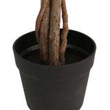 Vidaxl Artcitroenboom with 3 strains 180 cm Polypropene green