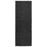 Vidaxl Rug Zizur all'interno e all'esterno di 80x200 cm Iiuta Antracite