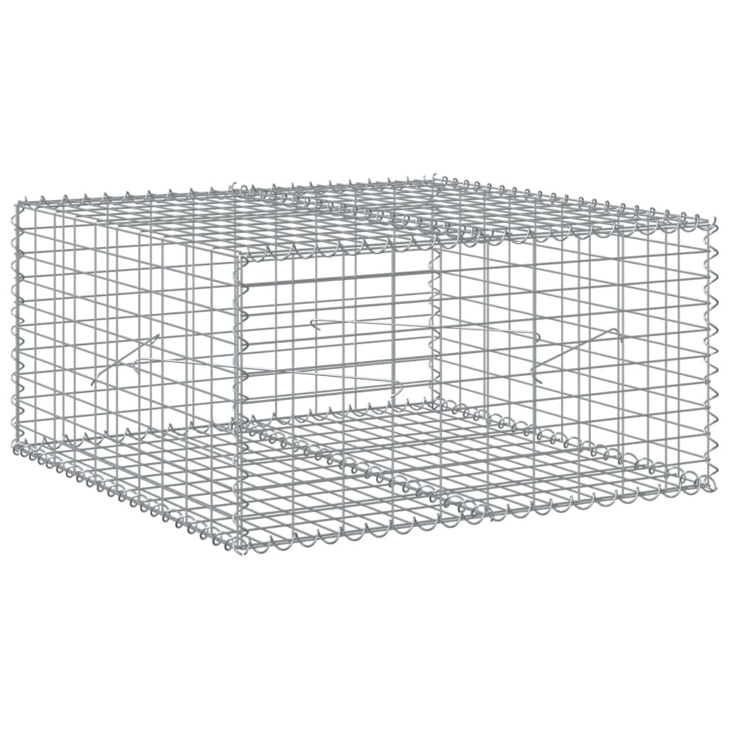 Vidaxl Schanskorf 100x100x50 cm galvanizované železo stříbrné barvy