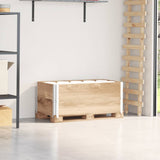 Vidaxl palletopzetanden 2 pcs 100x50 cm trden bor