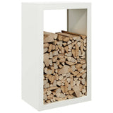 Vidaxl Fireplace 60x40x100 cm Steel White