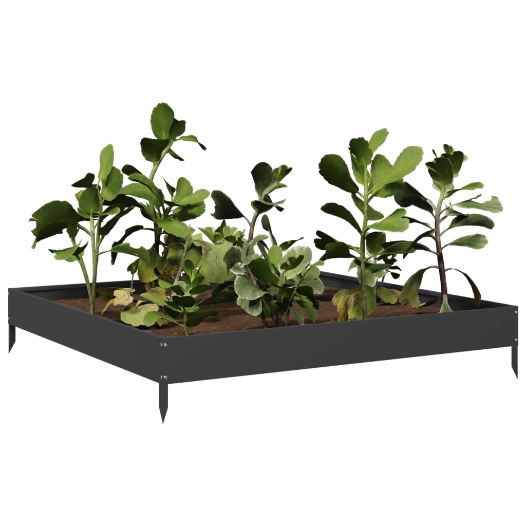 Vidaxl Planter Insent 100x100x18,5 cm ocel