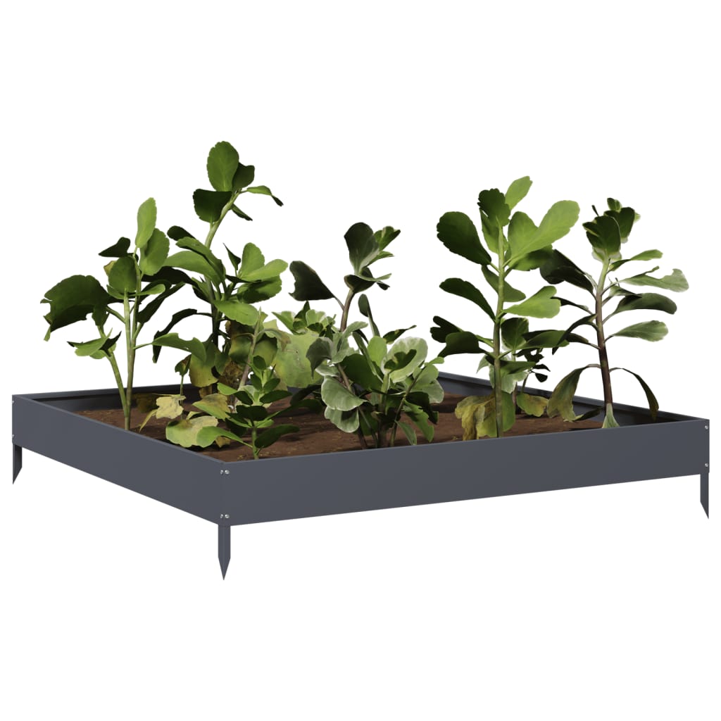 VidaXL Planter Insert 100x100x18.5 cm Steel Anthracite -colored