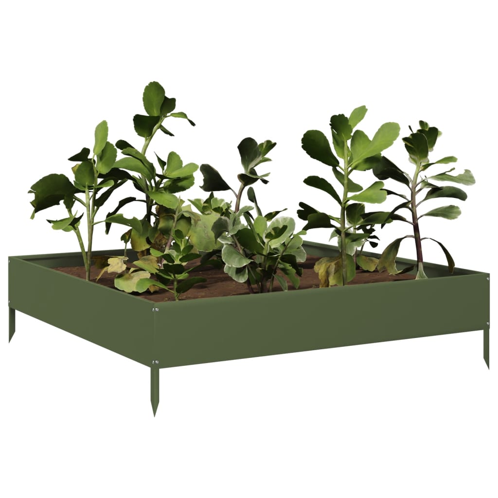 Vidaxl Planter huet 100x100x26 cm Stat Olive gréng opgeworf