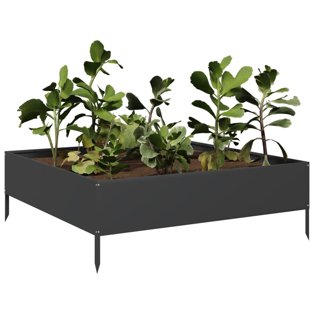 Vidaxl Planter zvedl 100x100x33,5 cm ocelovou černou