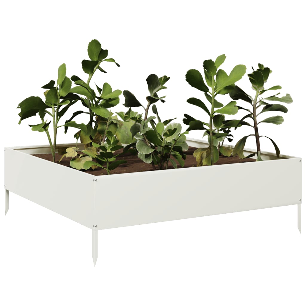 Vidaxl Planter zvedl 100x100x33,5 cm ocelovou bílou