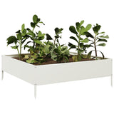 Vidaxl Planter zvedl 100x100x33,5 cm ocelovou bílou