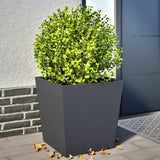 Vidaxl Planters 2 St 50x50x50 cm stålantracitt -farget