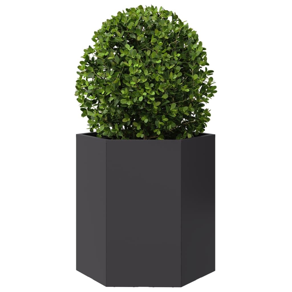 Vidaxl Plannet Hexagon 46x40x45 cm stål sort