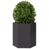 Vidaxl Plannet Hexagon 46x40x45 cm stål sort