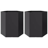 Vidaxl Planters 2 St. Hexagon 46x40x45 cm Ocel Black