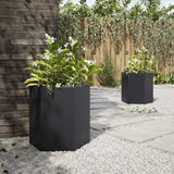 Vidaxl Planters 2 St. Hexagon 46x40x45 cm Ocel Black