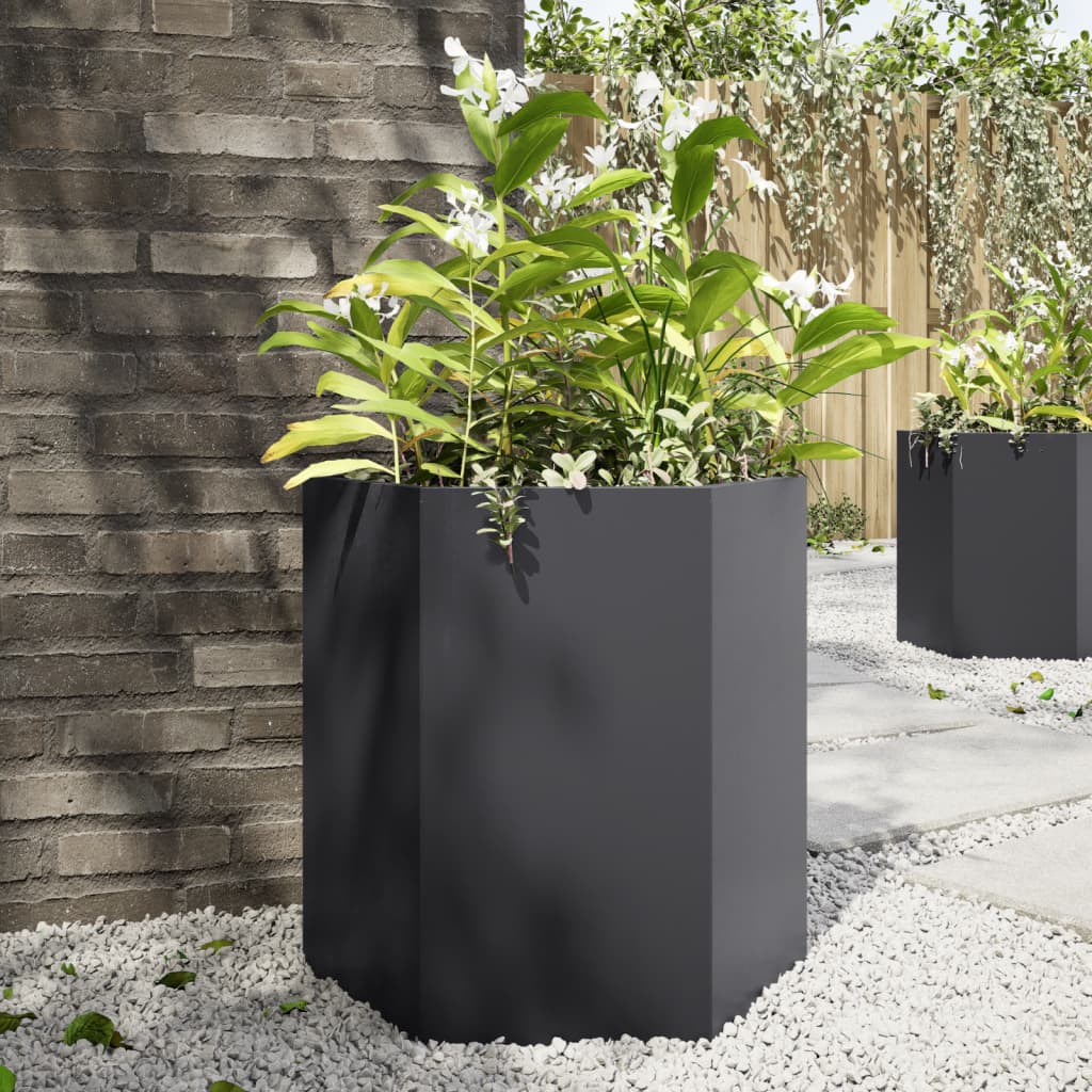 Vidaxl Planters 2 St. Hexagon 46x40x45 cm Ocel Black