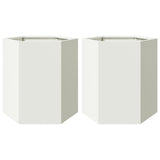 Vidaxl Planters 2 St. Hexagon 46x40x45 cm ocel bílá