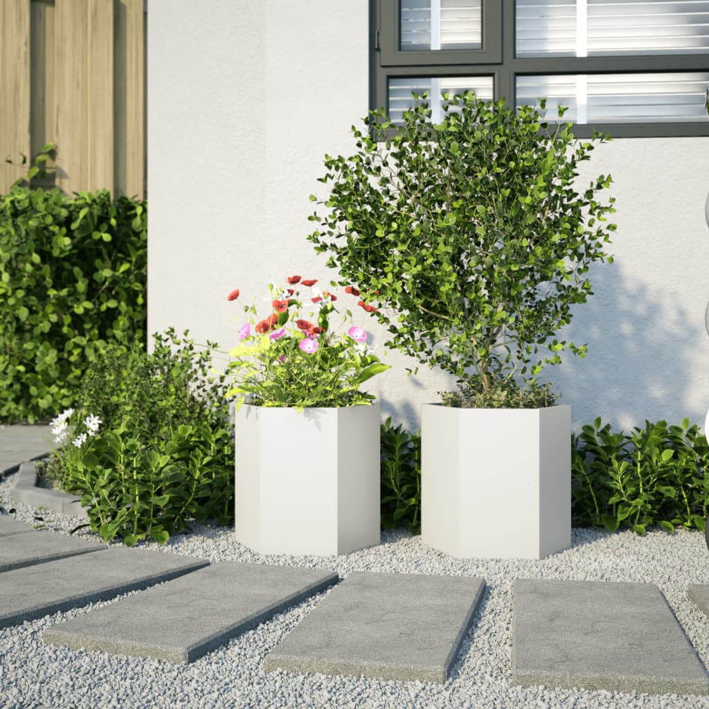 Vidaxl Planters 2 St. Hexagon 46x40x45 cm ocel bílá