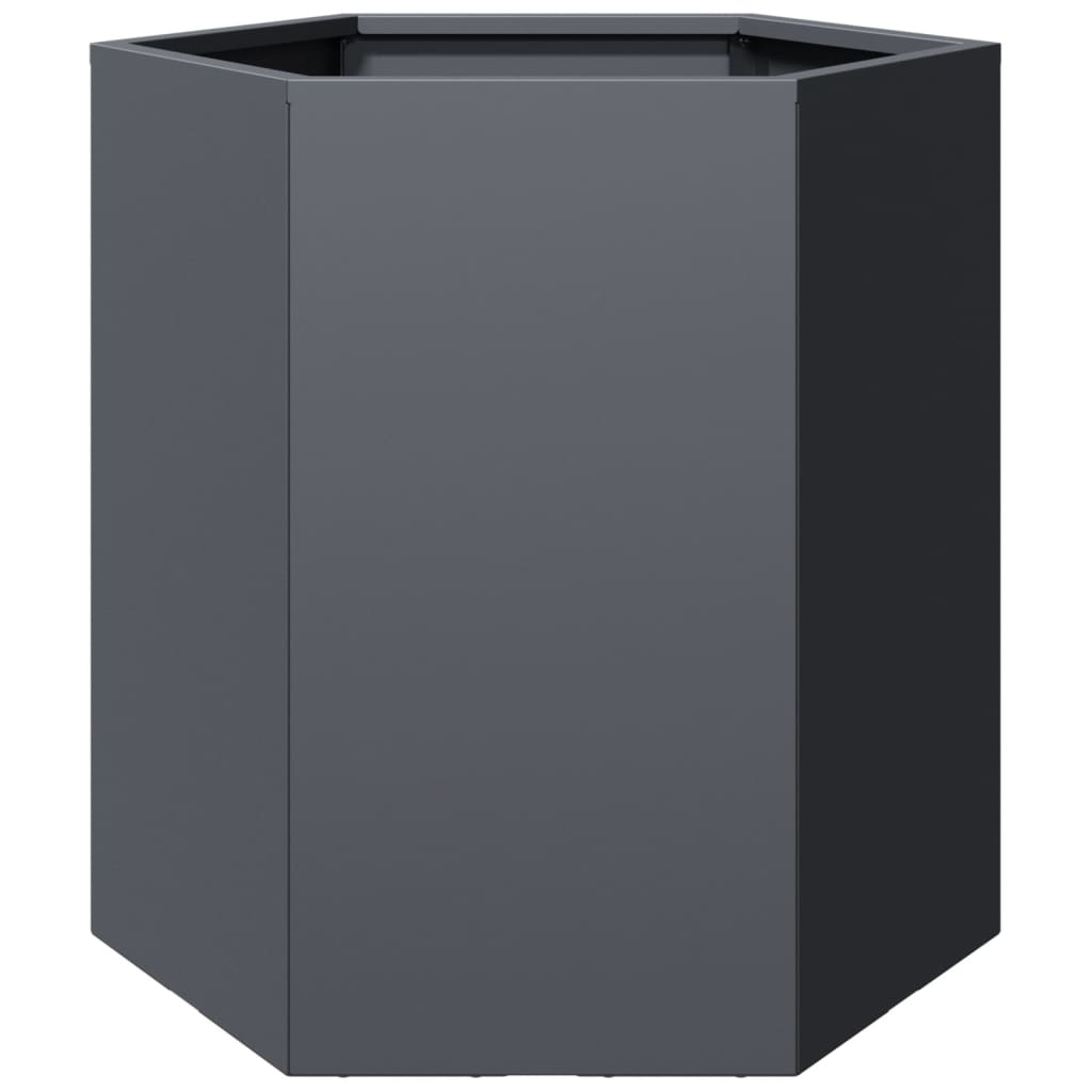 Vidaxl Planetnet Hexagon 46x40x45 cm Stahl anthracit -cored