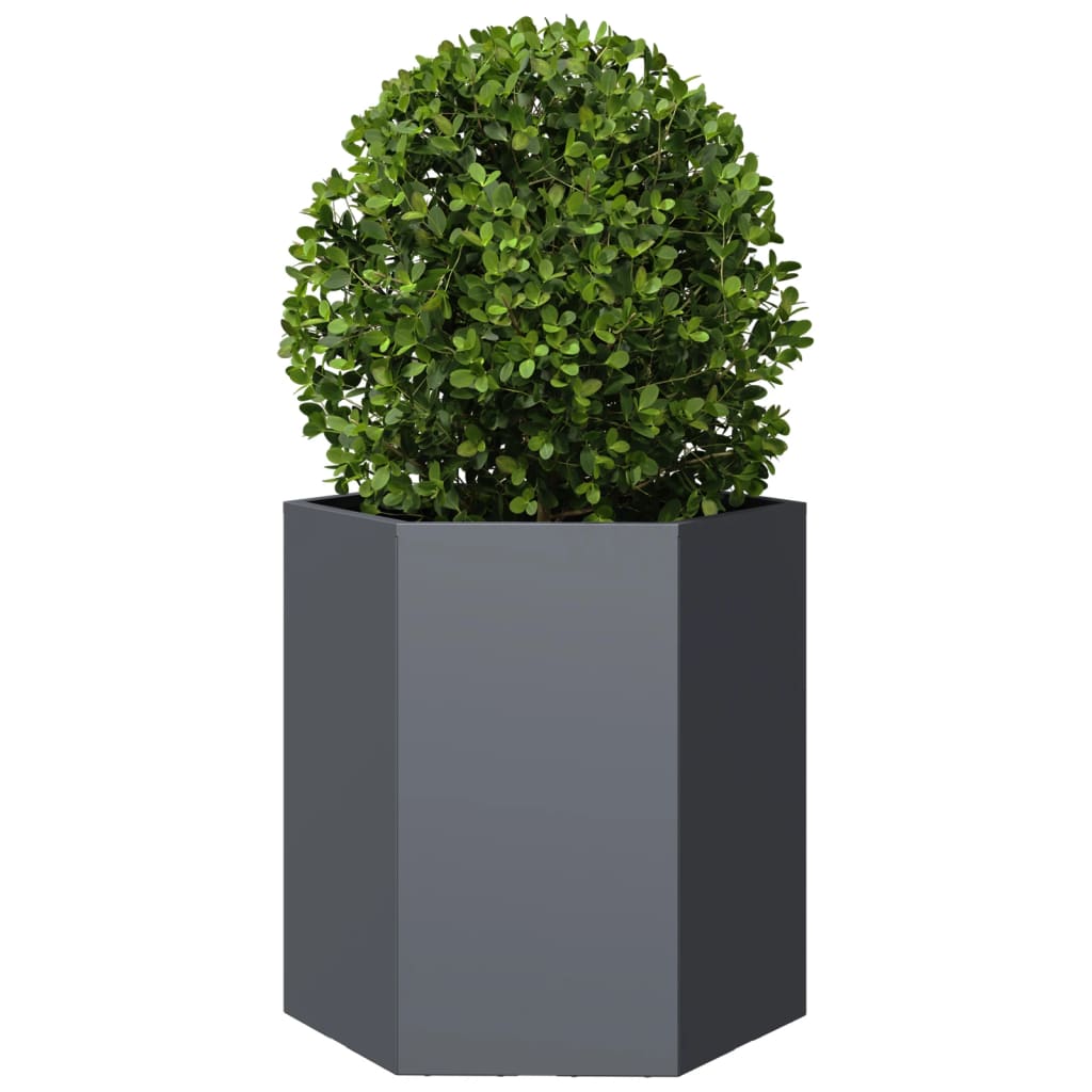 Vidaxl Planetnet Hexagon 46x40x45 cm Stahl anthracit -cored