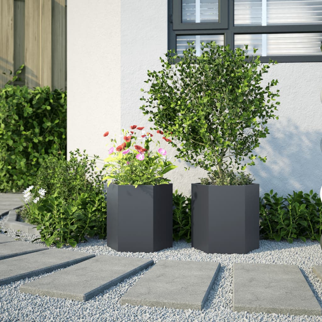 Vidaxl Planters 2 St Hexagon 46x40x45 cm Anthracite en acier -colore
