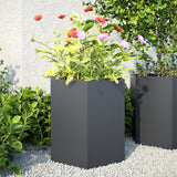 Vidaxl Planters 2 St Hexagon 46x40x45 cm Anthracite en acier -colore