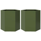 Vidaxl Fioters 2 St Hexagon 46x40x45 cm in acciaio oliva verde