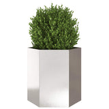 Vidaxl Plannet Hexagon 46x40x45 cm nerjavno jeklo
