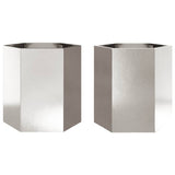 Vidaxl Planters 2 St. Hexagon 46x40x45 cm nerezová ocel