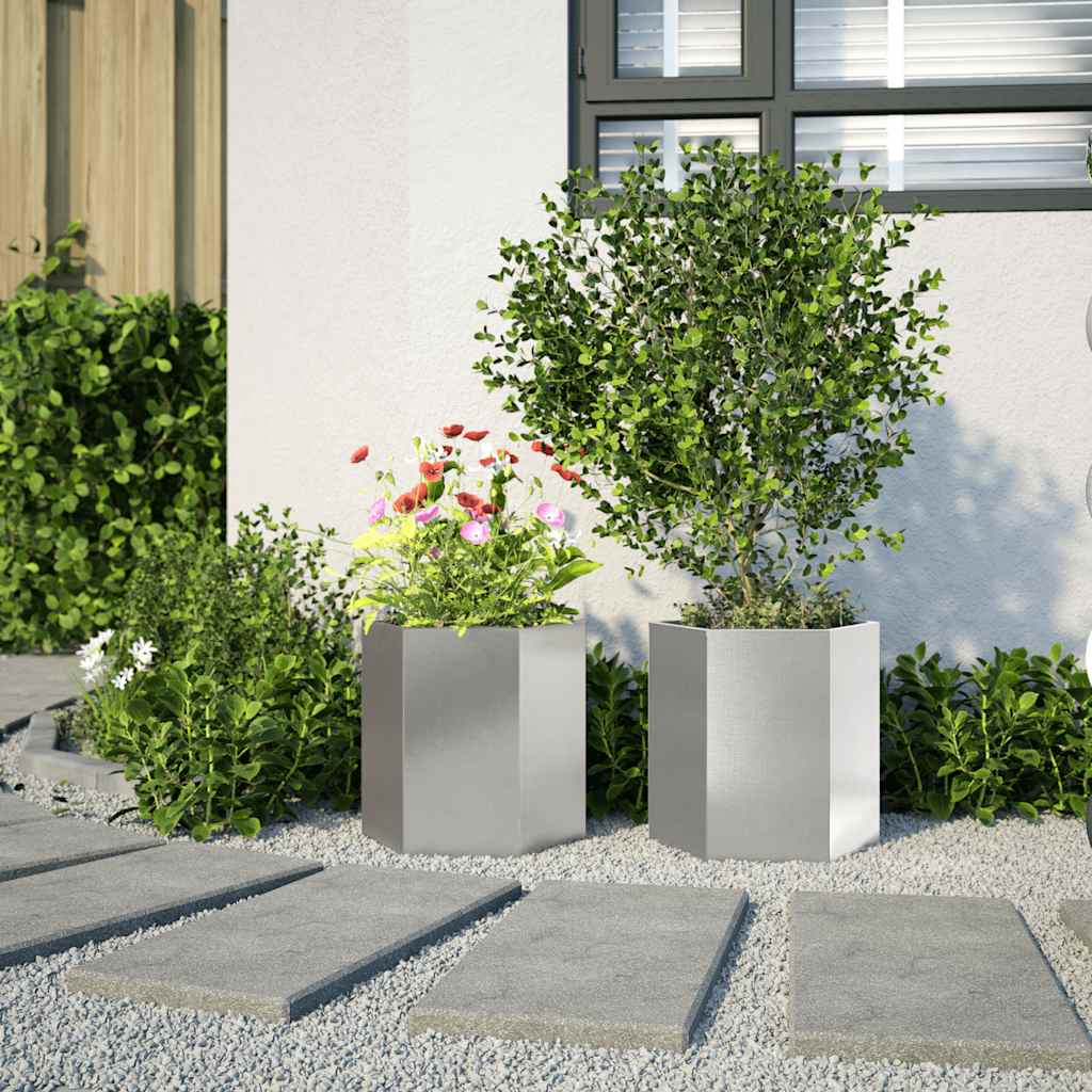Vidaxl Planters 2 St. Hexagon 46x40x45 cm nerezová ocel