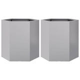 Vidaxl Fioters 2 St Hexagon 46x40x45 cm Galvanized Steel