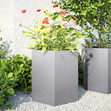 Vidaxl Fioters 2 St Hexagon 46x40x45 cm Galvanized Steel