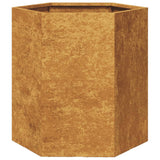 VidaXL Plannet Hexagon 46x40x45 cm Cortenstaal