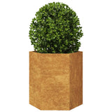 VidaXL Plannet Hexagon 46x40x45 cm Cortenstaal