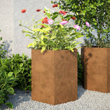 VidaXL Plannet Hexagon 46x40x45 cm Cortenstaal