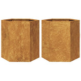 Vidaxl Planters 2 St. Hexagon 46x40x45 cm povětrnostní ocel