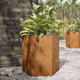 Vidaxl Planters 2 St. Hexagon 46x40x45 cm povětrnostní ocel