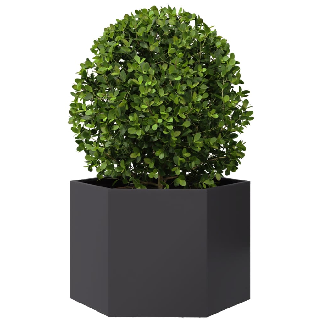 Vidaxl Planter Benket Hexagon 69x60x45 cm ocel černá