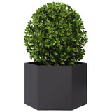 Vidaxl Planter Benket Hexagon 69x60x45 cm ocel černá