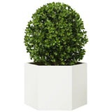 VidaXL Plannet Hexagon 69x60x45 cm Steel White