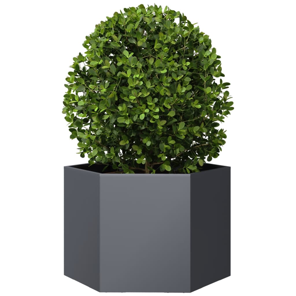 Vidaxl Planter Benket Hexagon 69x60x45 cm ocelový antracity -