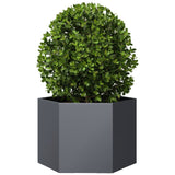Vidaxl Planter Benket Hexagon 69x60x45 cm ocelový antracity -