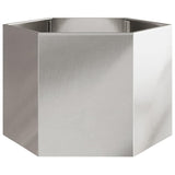 Vidaxl Plannet Hexagon 69x60x45 cm z nerezové oceli