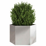 Vidaxl Plannet Hexagon 69x60x45 cm z nerezové oceli