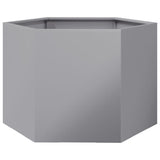 Vidaxl Planter Big Hexhoek 69x60x45 CM Galvanisé Steel