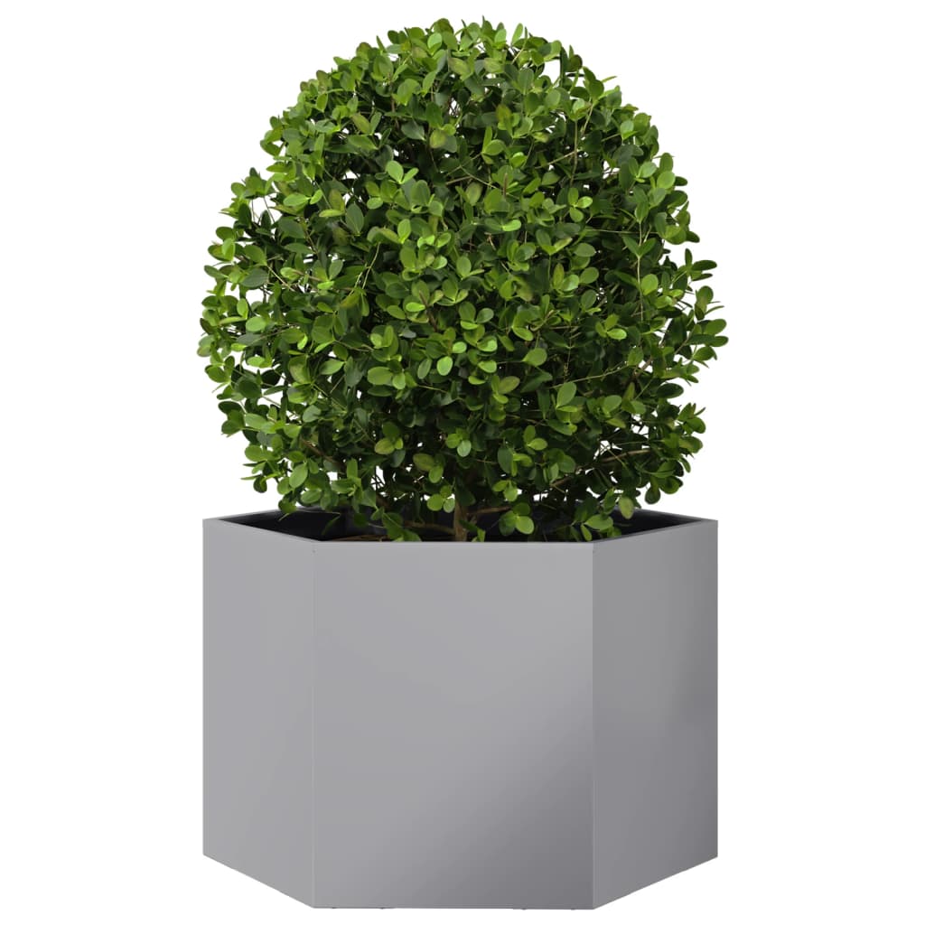 Vidaxl Planter Big Hexhoek 69x60x45 CM Galvanisé Steel