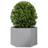 Vidaxl Planter Big Hexhoek 69x60x45 CM Galvanisé Steel
