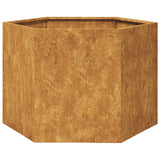 Vidaxl Plannet Hexagon 69x60x45 cm povětrnostní ocel