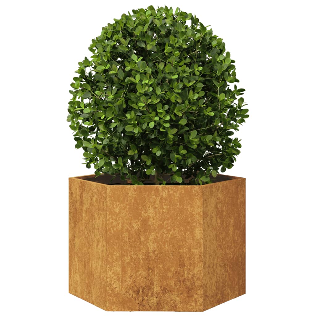 Vidaxl Plannet Hexagon 69x60x45 cm povětrnostní ocel