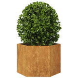 Vidaxl Plannet Hexagon 69x60x45 cm povětrnostní ocel
