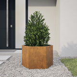 Vidaxl Plannet Hexagon 69x60x45 cm povětrnostní ocel