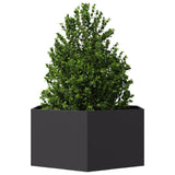 Vidaxl Plannet Henhoek 104x90x45 cm in acciaio nero